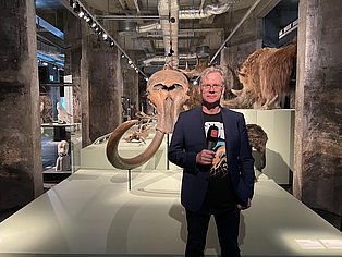 Projektleiter Dr. Achim Reisdorf in der Sonderausstellung "überLeben in der Eiszeit"