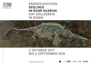 Plakat zur Sonderausstellung „Geologie im Ruhr Museum“.